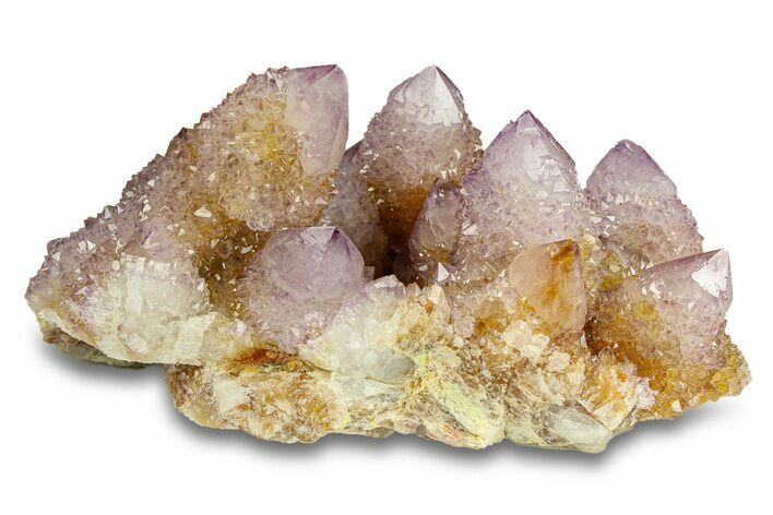 Sparkling Cactus Amethyst Crystal Cluster - South Africa #301880